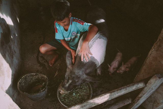 Bộ ảnh xúc động về cậu bé mồ côi ở Quảng Nam tự lập từ năm 12 tuổi, nuôi lợn để được đến trường - Ảnh 2.