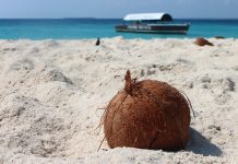 Những ai đã, đang và sẽ làm sales nhất định phải học cách kinh doanh của anh bán dừa này