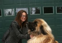 Choáng váng với những chú chó khổng lồ trên khắp hành tinh, chủ nhân cũng trở nên nhỏ bé hơn