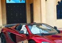 Hết thời khoe hàng hiệu, báo và cọp chính là thú cưng sành điệu của “hội con nhà giàu”