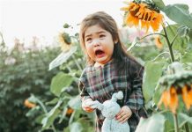 Ngắm em bé Hà Nội “gây sốt” với gương mặt sợ chó dễ thương quá mức cho phép